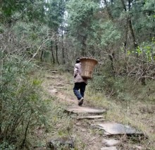 Man carrying wood along ancient Chinese road